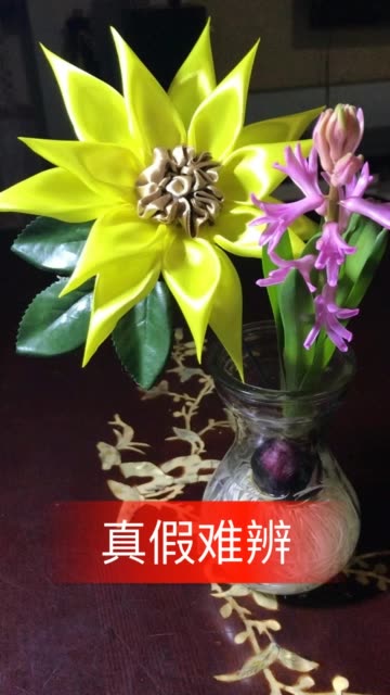 花语520直播苹果版的简单介绍-第6张图片-有道翻译官网 花语520直播苹果版的简单介绍-第6张图片-有道翻译官网