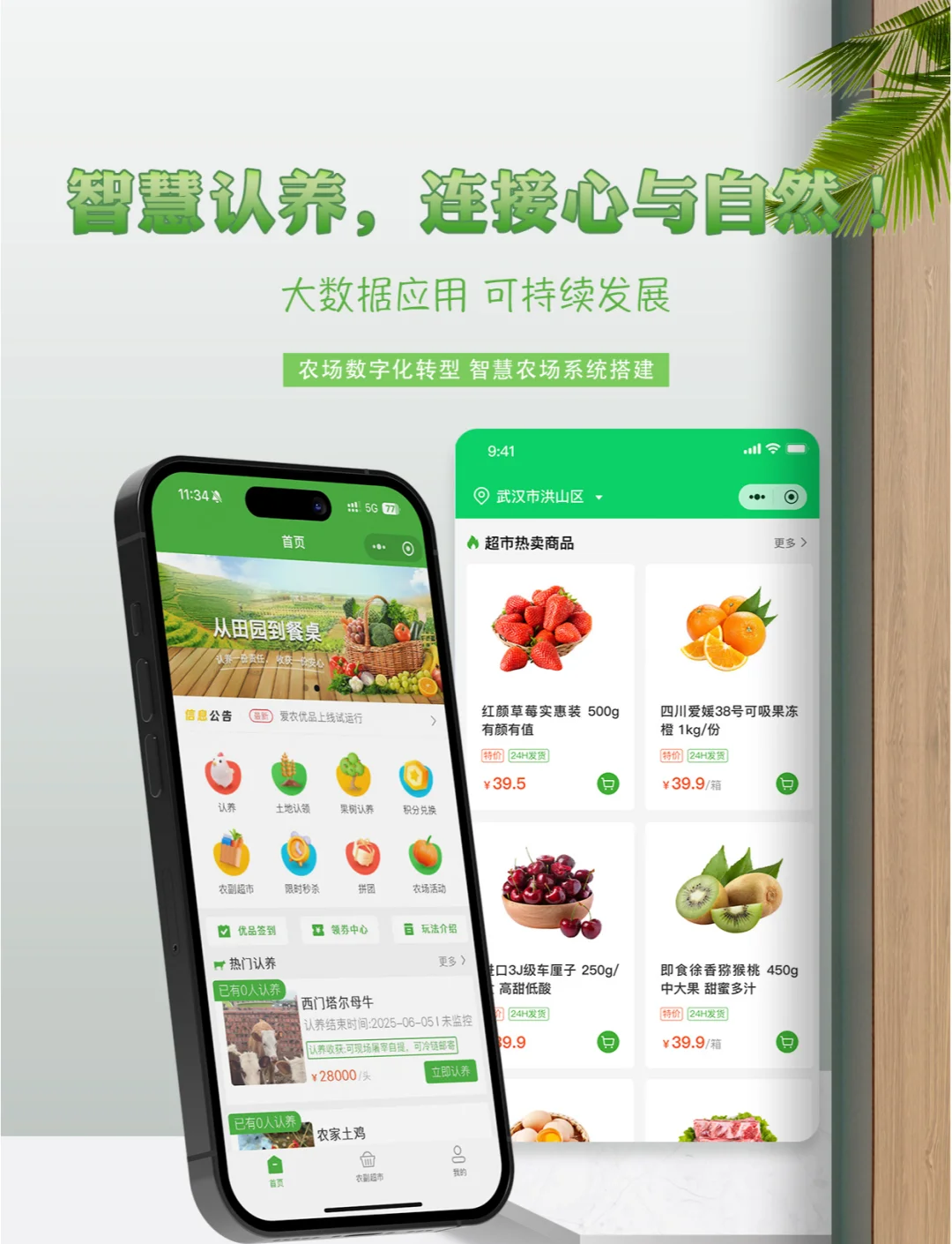 农业种植app苹果版(农业种植app苹果版官网)-第9张图片-有道翻译官网