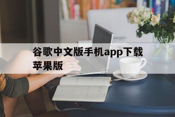 谷歌中文版手机app下载苹果版(谷歌中文版下载安装)-第3张图片-有道翻译官网