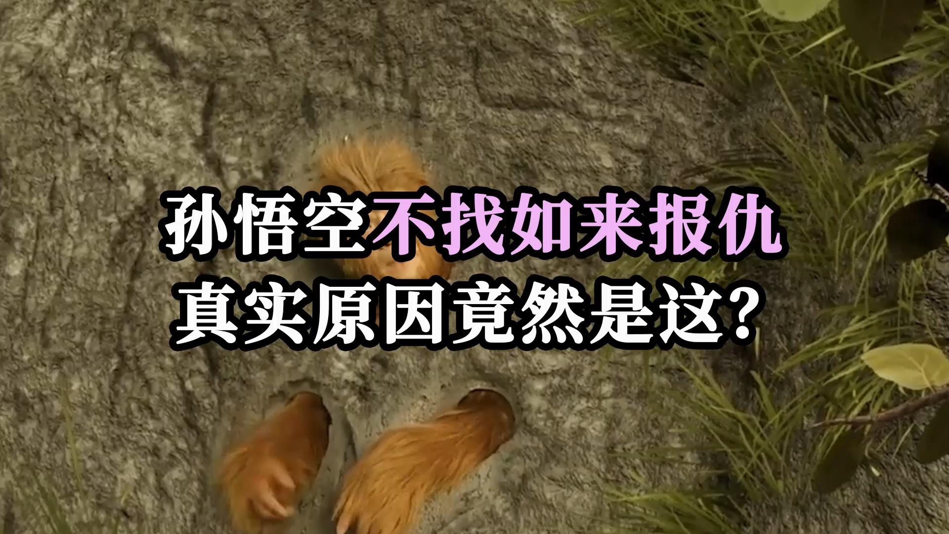 大话铃声苹果版下载(大话西游背景音乐铃声)-第2张图片-有道翻译官网 大话铃声苹果版下载(大话西游背景音乐铃声)-第2张图片-有道翻译官网