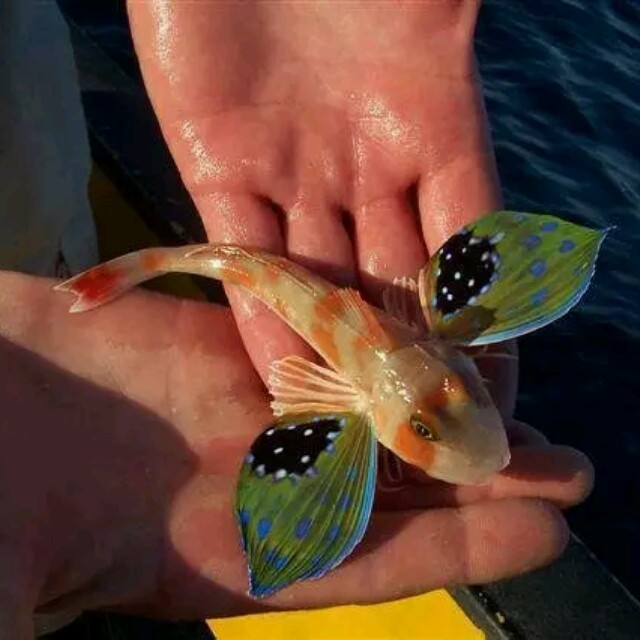 快快社区下载苹果版(快快云手机版官方下载)-第3张图片-有道翻译官网